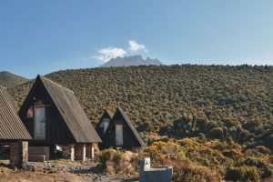 8 Days Kilimanjaro Trekking Lemosho Route